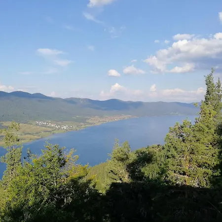 Вила Аликанте * 瑟尔尼察